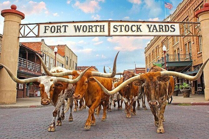 Fort Worth Highlights, Billy Bobs & John Wayne Day Tour - FAQ