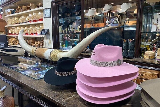 Fort Worth Highlights & Southfork Ranch Combo Tour - Who Should Consider This Tour?