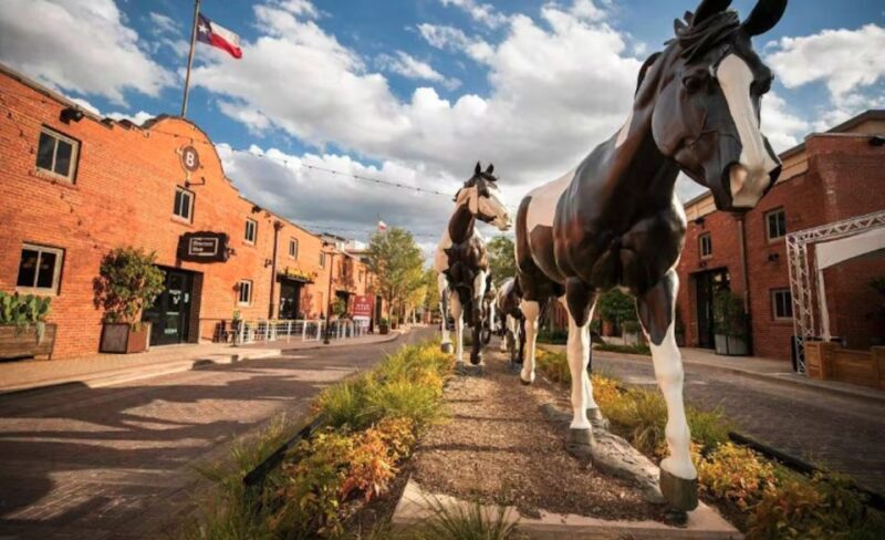 Fort Worth: Stockyards History Tour Pub Crawl - Exploring the Fort Worth Stockyards: What to Expect