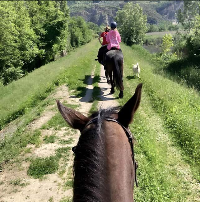 Forte dei Marmi: Horseback Riding Tour in Tuscany - Final Thoughts