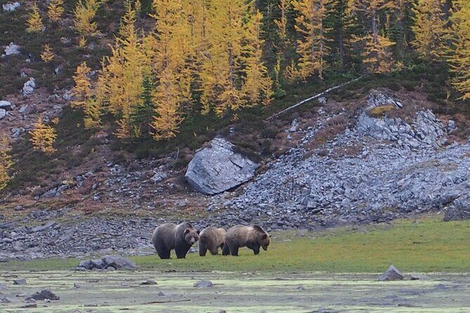 Fortress Backcountry Ridgeline Private Hiking Adventure - Who is This Tour Best Suited For?