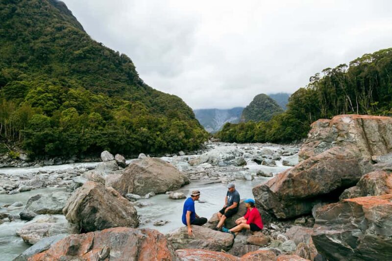 Fox Glacier: Half Day Walking & Nature Tour with Local Guide - Key Points