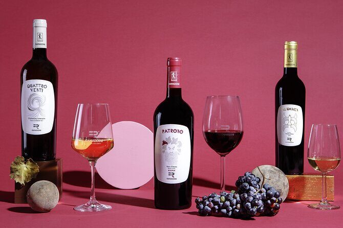 FR Lovers Wine Tasting - The Tasting & Paired Foods