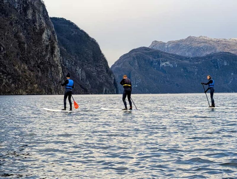Frafjord: Guided Kayak or SUP Tour with Equipment - Key Points