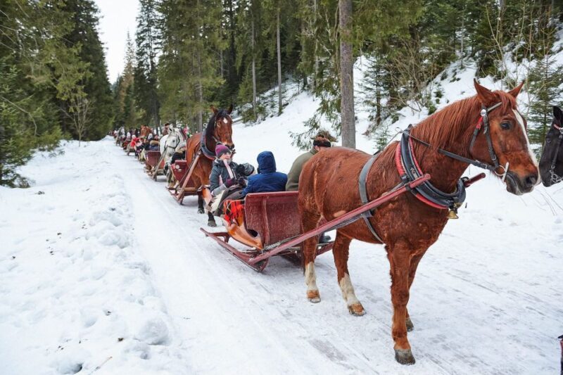 Fram Kraków: Tatra Mountain Sleigh Ride in Zakopane - An Overview of What to Expect