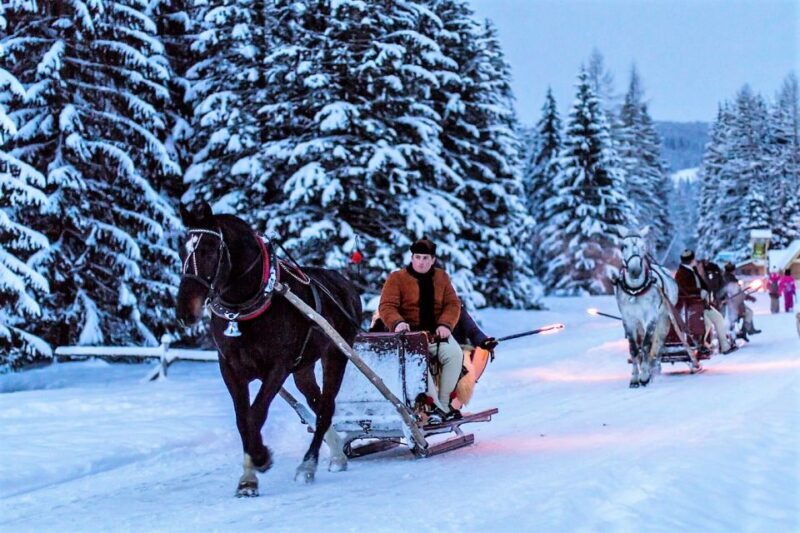 Fram Kraków: Tatra Mountain Sleigh Ride in Zakopane - The Bottom Line: Who Is This Tour Perfect For?