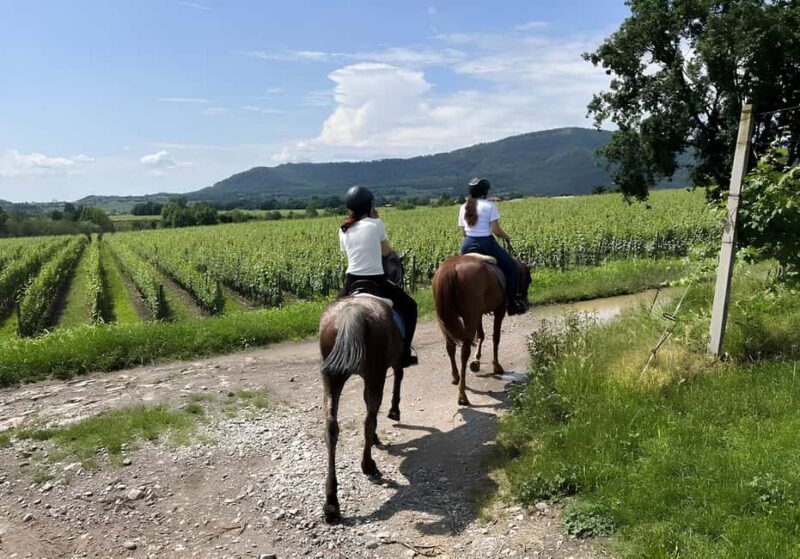 Franciacorta: Horseback Ride through Vineyards & Villages - Key Points