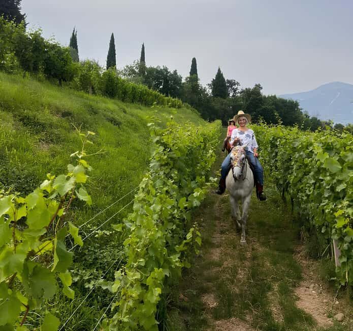 Franciacorta: Horseback Ride through Vineyards & Villages - What to Expect from the Tour