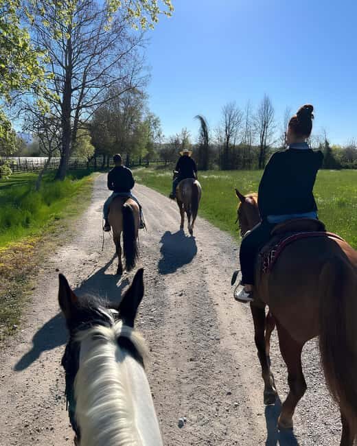 Franciacorta: Horseback Ride through Vineyards & Villages - Who Will Love This Tour?