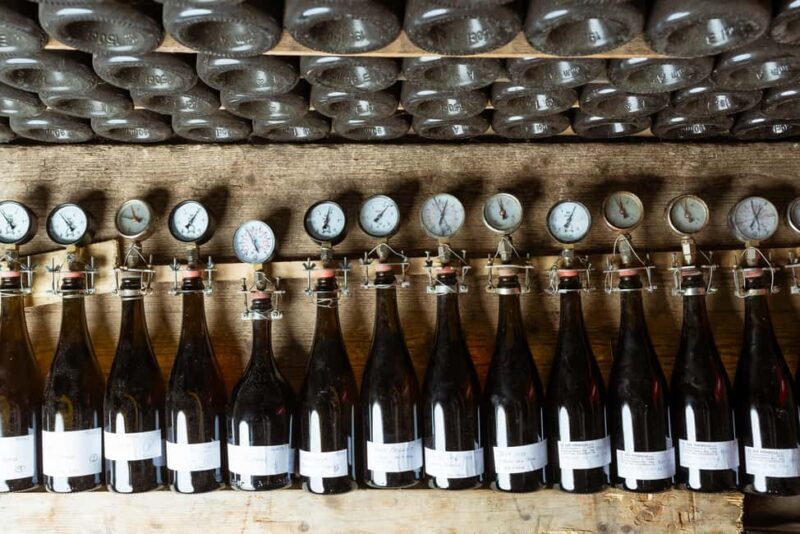 Franciacorta: Vineyard, Winery, and Edea To Tasting - Key Points