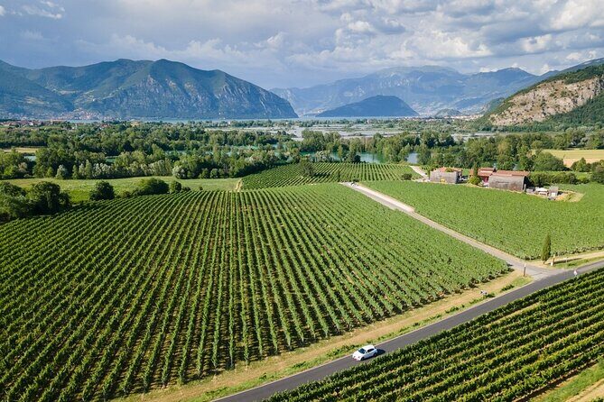 Franciacorta Wine Tasting Tour from Milan with Lake Iseo Cruise - FAQ