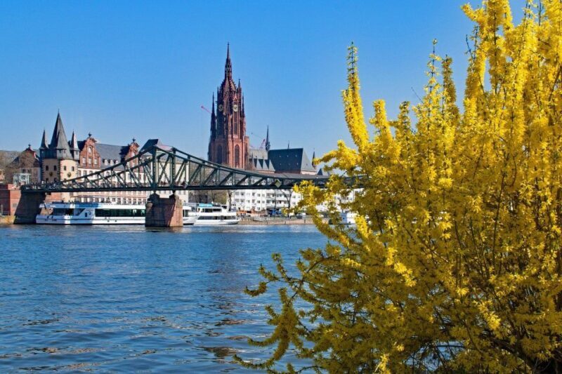 Frankfurt: Classic Public Walking Tour - Key Points