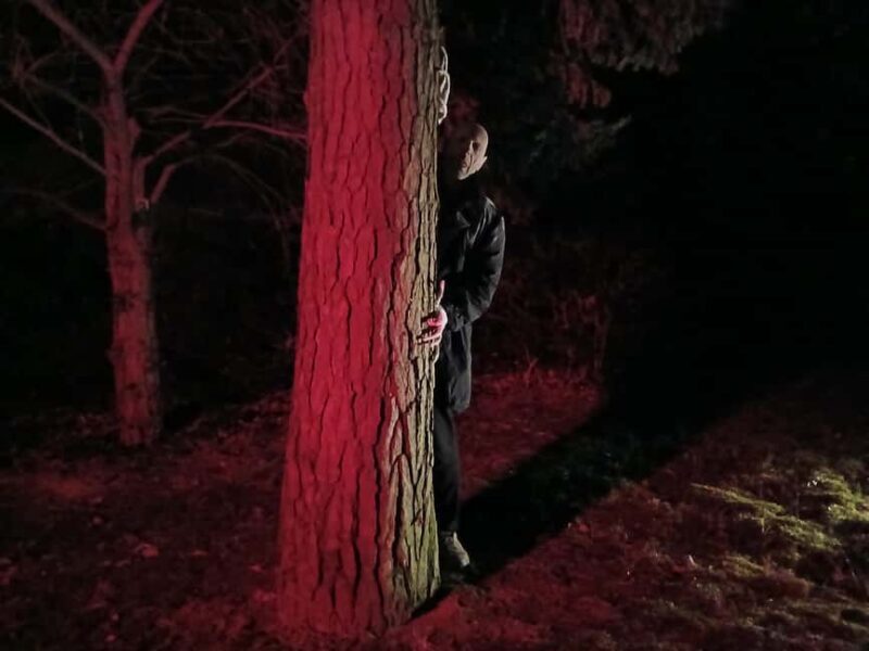 Frankfurt: Horror theater with city tour "Nosferatu's Resurrection" - The Content and Atmosphere