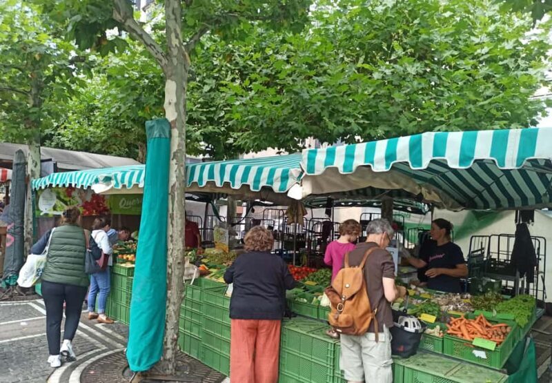 Frankfurt: Old Town Walking Tour with Local Guide - What We Loved About the Tour