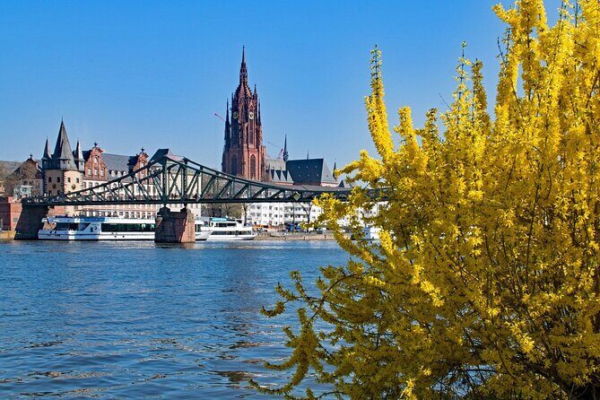 Frankfurt Private Walking Tour With A Professional Guide - Pricing and Value Analysis