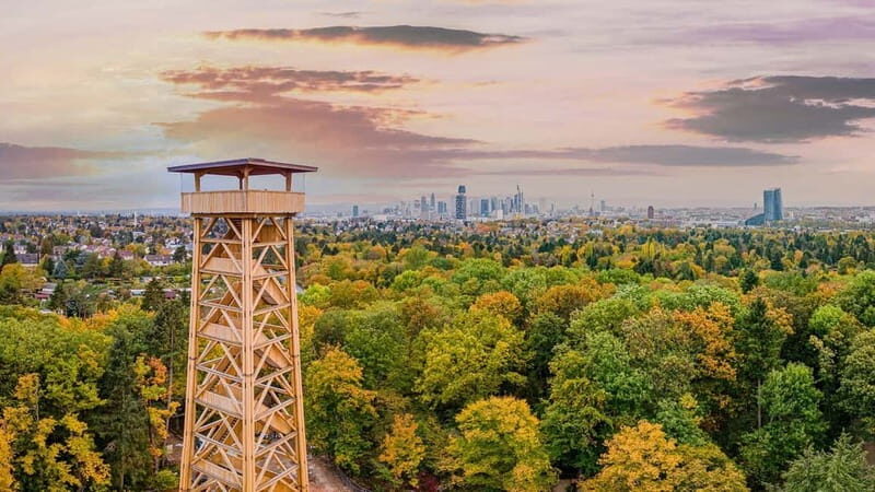 Frankfurt: RheinMainCard - Unlimited RMV Transportation - What are the downsides?