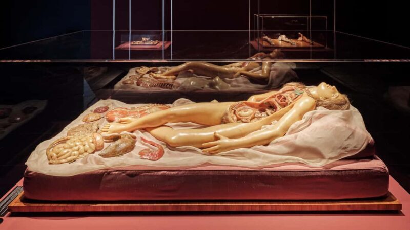 Frankfurter Kunstverein: Your Ticket to Art - Final Thoughts