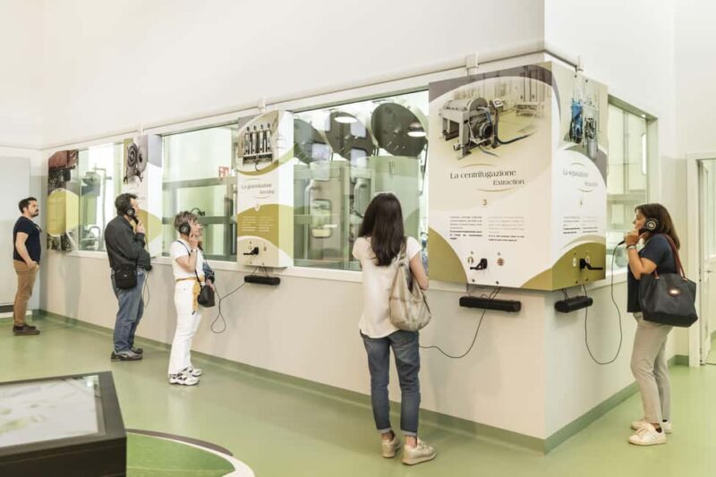 Frantoio di San Gimignano: tour of the oil mill and tasting - What We Loved