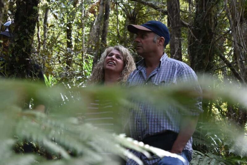 Franz Josef Glacier: 2.5-Hour Lake Mapourika Cruise and Walk - A Scenic Introduction to Lake Mapourika and the Southern Alps