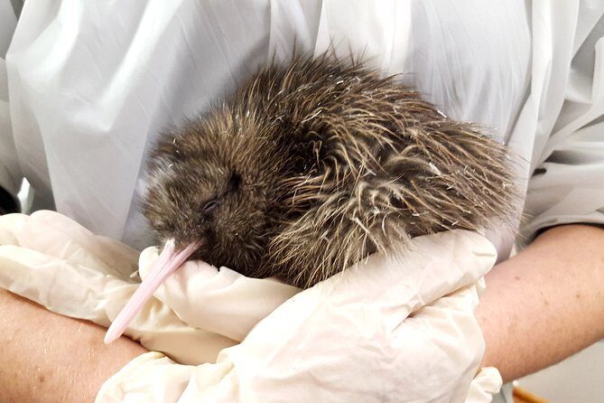 Franz Josef Glacier 25-Minute Helicopter Flight with Snow Landing - Final Thoughts