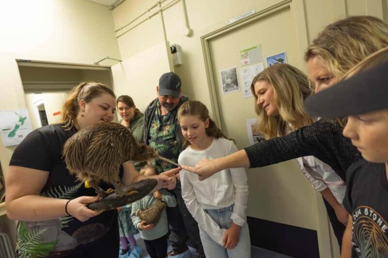 Franz Josef: Kiwi VIP Backstage Pass Tour -Booking Essential - How the Tour Fits Into Your Franz Josef Visit