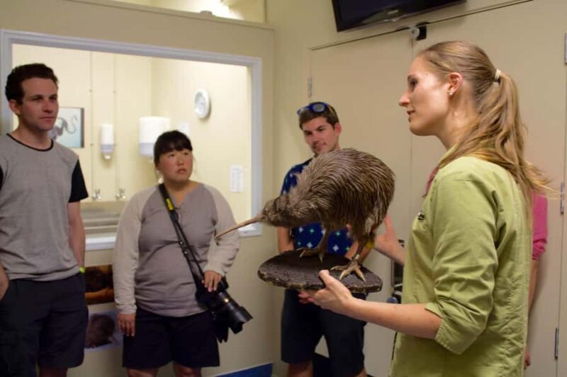 Franz Josef: Kiwi VIP Backstage Pass Tour -Booking Essential - The Sum Up