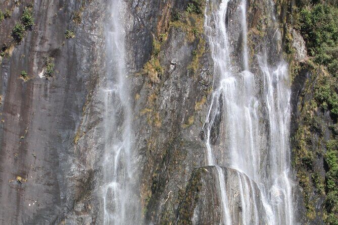 Franz Josef Nature Tour - Practical Details