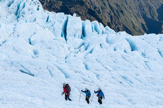 Franz Josef Small Group Bespoke Heli Hike Adventure with lunch - Who Will Love This Tour?