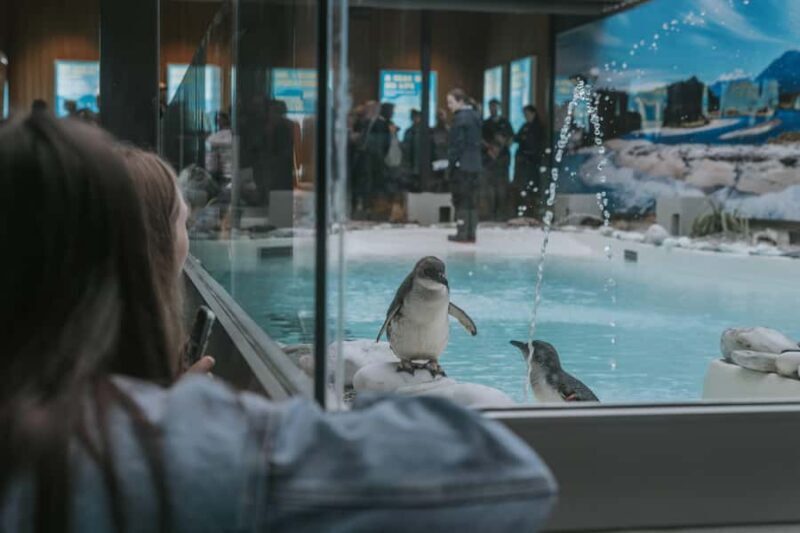 Franz Josef: West Coast Wildlife Centre Entry Ticket -48 hrs - Key Points