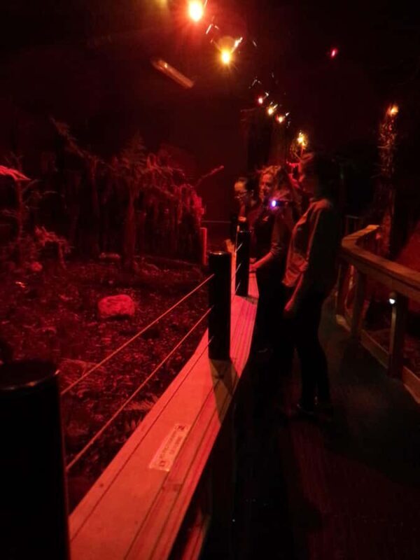 Franz Josef: West Coast Wildlife Centre Entry Ticket -48 hrs - How Does It Feel in Practice?