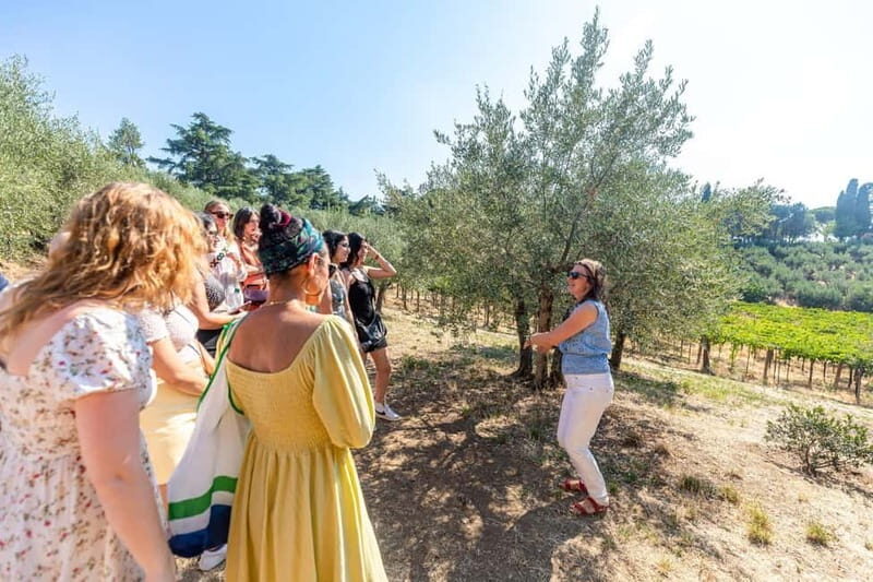 Frascati: Half Day Wine Tour - Final Thoughts