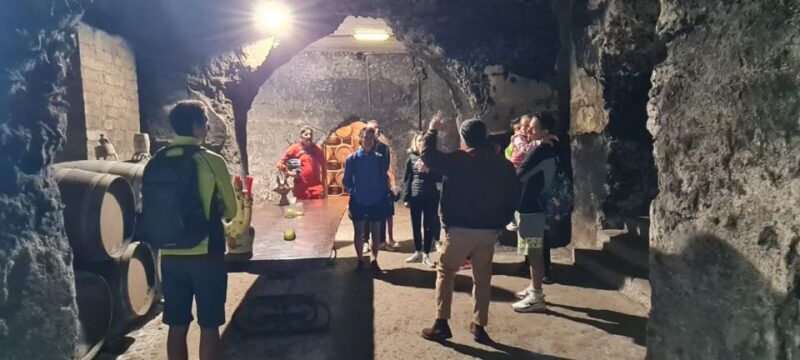 Frascati: Tour in E-Bike with Wine Tasting - Archaeological and Cultural Highlights