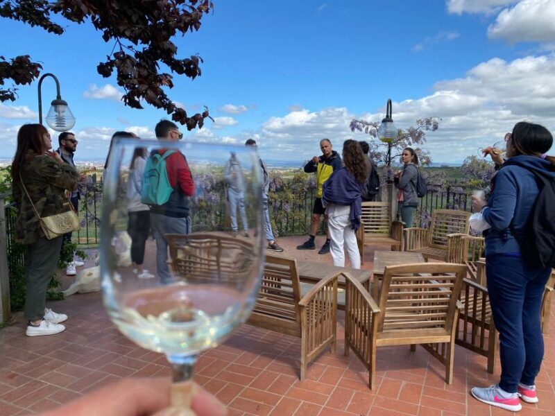 Frascati: Tour in E-Bike with Wine Tasting - Who Will Love This Tour?