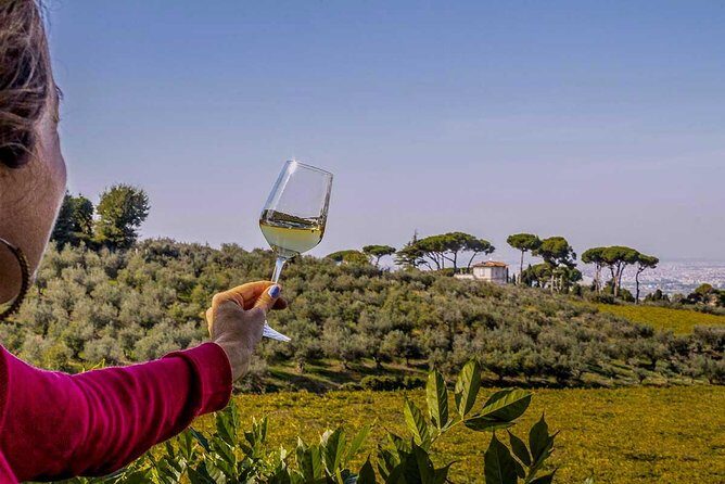 Frascati Wine Tasting Tour: The Flavors of the Roman Countryside - FAQs
