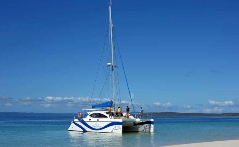 Fraser Island 4-Hour Eco-Sailing Adventure - Key Points