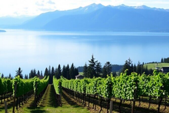 Fraser Valley Wine Escape Full Day Tour from Vancouver - Final Verdict: Who Should Consider This Tour?