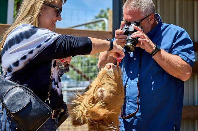 Fredericksburg Cow Cuddling - Who Is This Tour Best For?