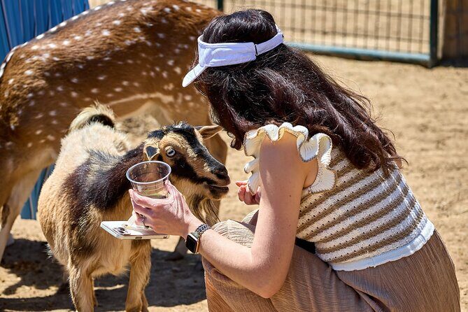 Fredericksburg Safari Tour Without Wine Tasting - Key Points