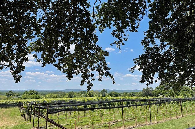 Fredericksburg Texas Area Wine Tastings: 3 Wineries and Lunch - FAQ
