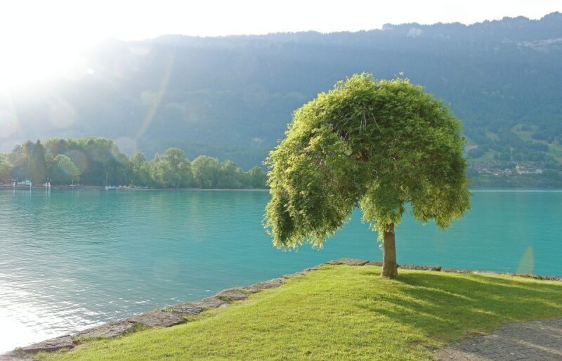 Free-Day in Interlaken Village from Lausanne - The Journey from Lausanne to Interlaken