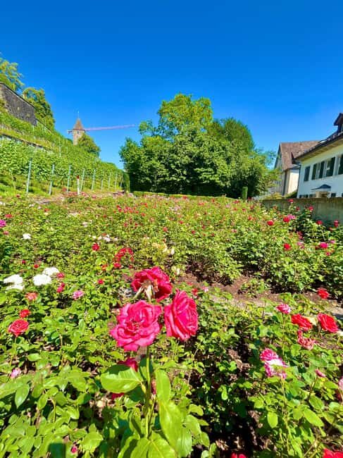FREE PHOTO near Zurich Rapperswil: Castle, Rose Old Town - Final Thoughts