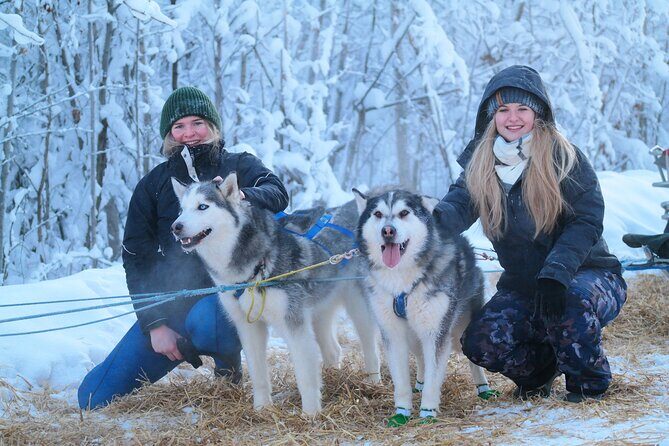 Free Pickup/Drop off: Alaskan Husky Dog Sledding with Free Photo - Key Points