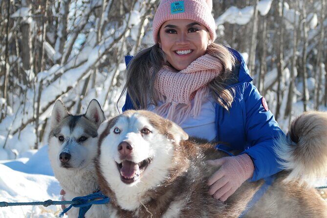 Free Pickup/Drop off: Alaskan Husky Dog Sledding with Free Photo - FAQ