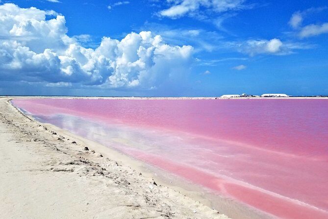 Free Yourself at Las Coloradas Natural Pink Lake! Tour from Playa Del Carmen - Who’s this tour best suited for?