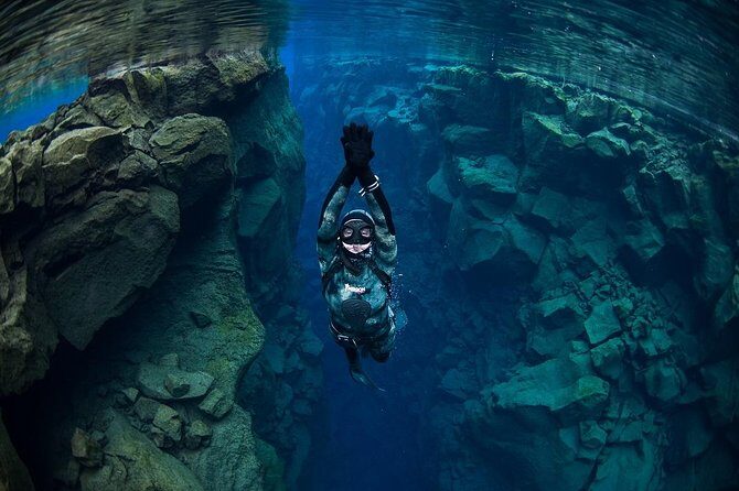 Freedive Silfra Half Day Tour - What to Expect from the Tour
