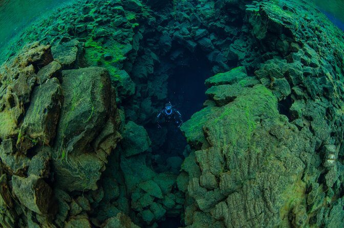 Freedive Silfra Half Day Tour - FAQ