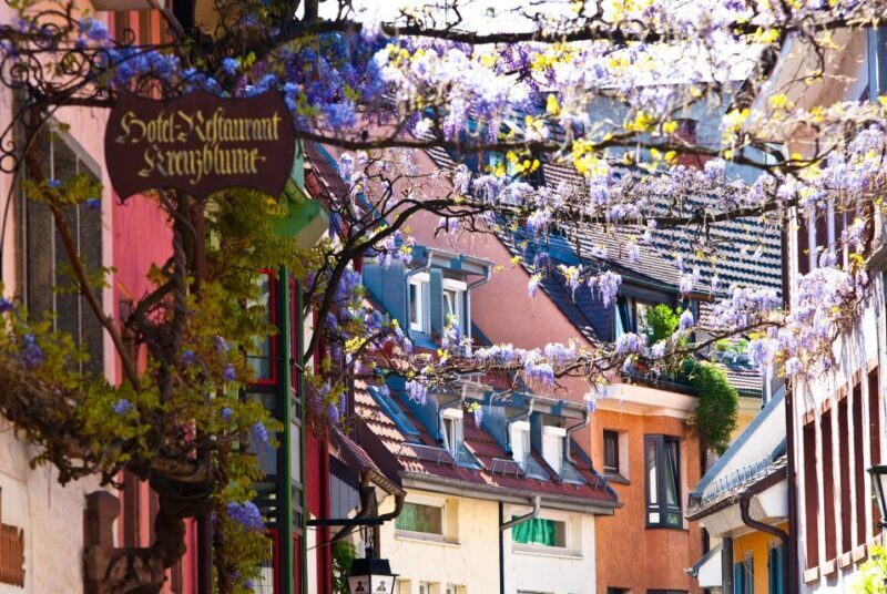 Freiburg: Gässle, Bächle and More City Tour - Exploring Freiburg’s Old Town on a Guided Walk