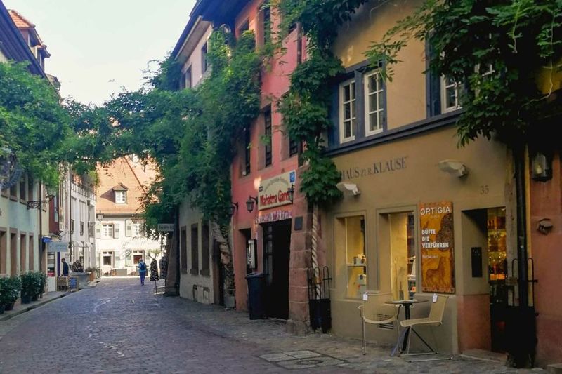 Freiburg: Gässle, Bächle and More City Tour - Konviktstraße and Gerberau: alleyways that feel most alive on foot