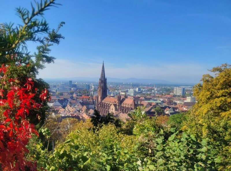 Freiburg - Historic walking tour - Who Should Consider This Tour?
