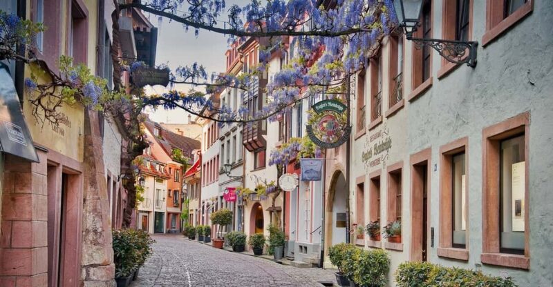 Freiburg im Breisgau: old town group walking tour Italian - The Highlights of the Tour